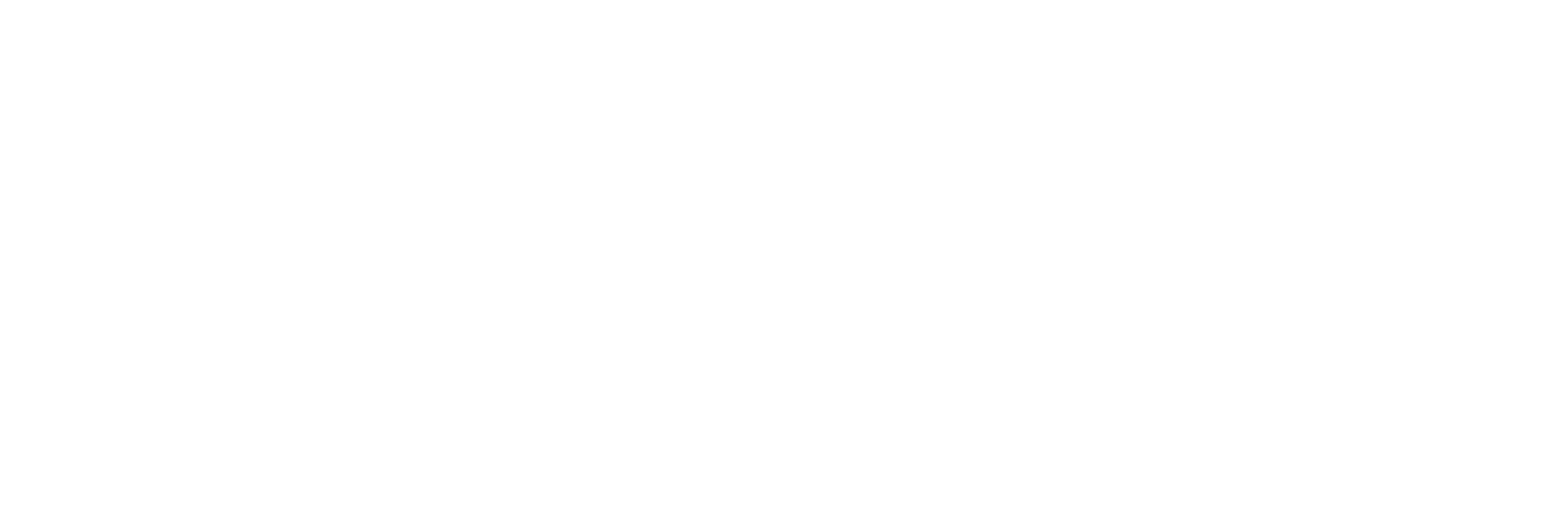 DPK_logo_horizontal_white 1